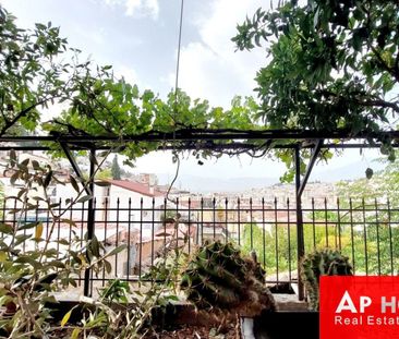 Μονοκατοικία για ενοικίαση Γαλανέικα - Νέα Ιωνία - Άνοιξη (Λαμία) - Φωτογραφία 6