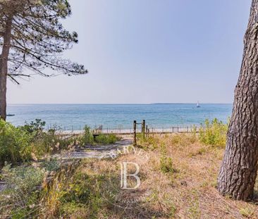 VILLA « SWAN » EN PREMIÈRE LIGNE AU PYLA-SUR-MER, AVEC 5 CHAMBRES, ... - Photo 1