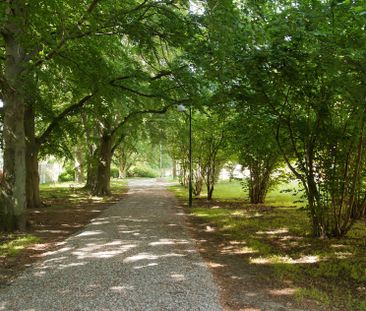 Ruben Holmströms gata 2, Sege Park - Photo 5