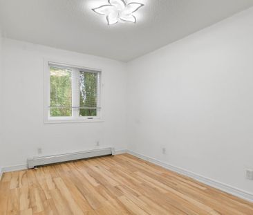 For Lease - 40 Tasker Street, St. Catharines, Ontario - Photo 6