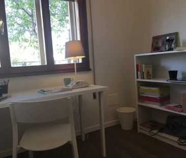 Via Federico Confalonieri, Padova, Veneto 35129 - Photo 4