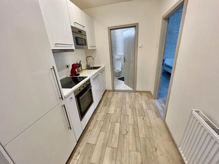 Pronájem bytu 1+kk a garsoniéry 36 m² - Fotografie 5