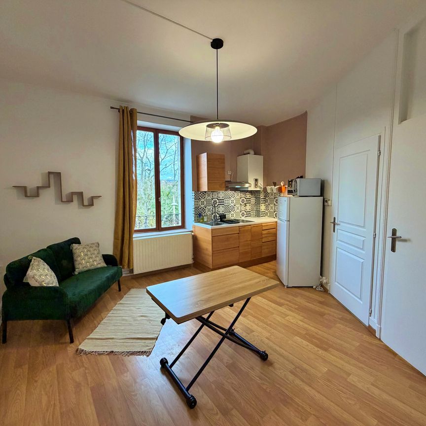 Location Appartement 2 pièces 33m² NANCY 54000 - Photo 1