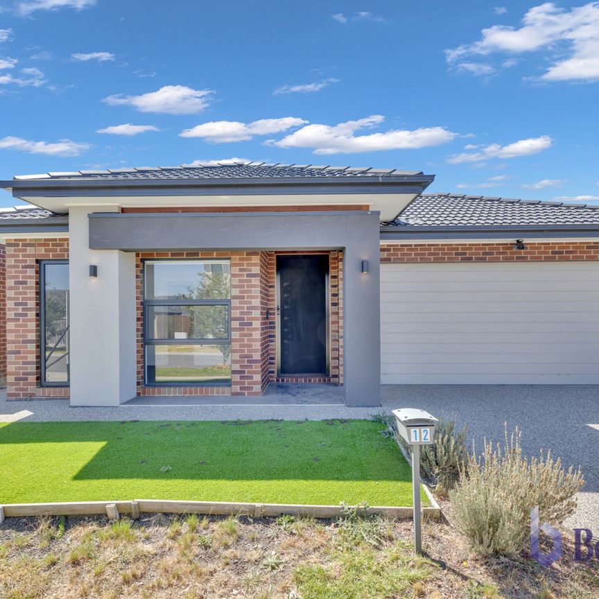 Welcome to Your Dream Home in Donnybrook! - Photo 1