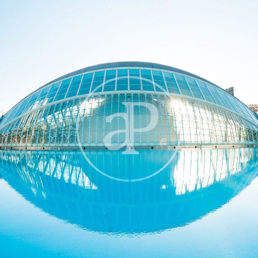 Piso de alquiler en Pl. de Les Bandes de Música de la Comunitat Valenc, Ciutat de les Ciències i de les Arts - Justicia - Photo 1