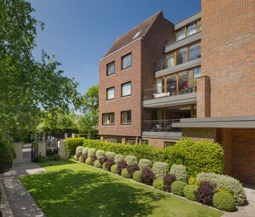 A Contemporary and Expansive Duplex in Hampstead Garden Suburb - Photo 6
