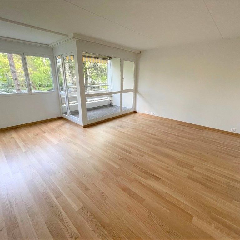 Gradelle - Au dessus du Parc des Eaux-Vives - Photo 1