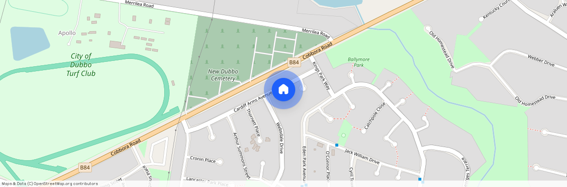 39 Cardiff Arms Avenue, Dubbo