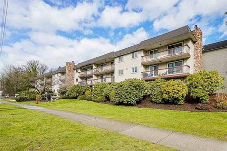 205-2381 Bury Avenue, Port Coquitlam - Photo 3