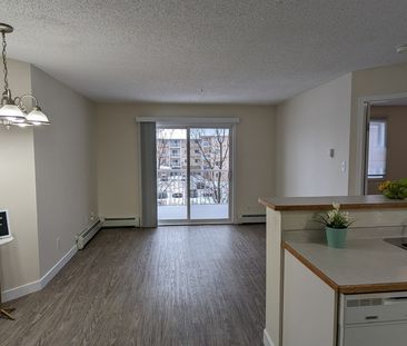 Kirkness Park Apartments | 3149 151 Avenue NW, Edmonton - Photo 1