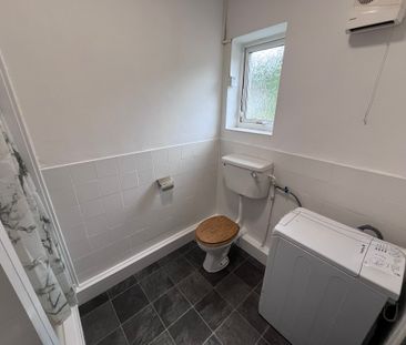 Richmond Terrace, Uplands, Swansea, SA2 0QY - Photo 5