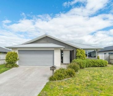 Lovely Four Bedroom Family Home - Papamoa - Photo 4