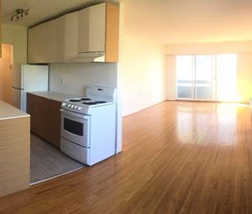 Renovated 2 Br+2 full bath Suite in Kitsilano! - Photo 3