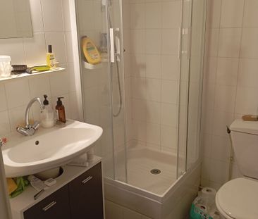 Location Appartement 1 pièce 18m² - Photo 3