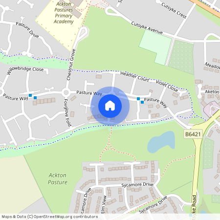 Dandelion Close, Castleford