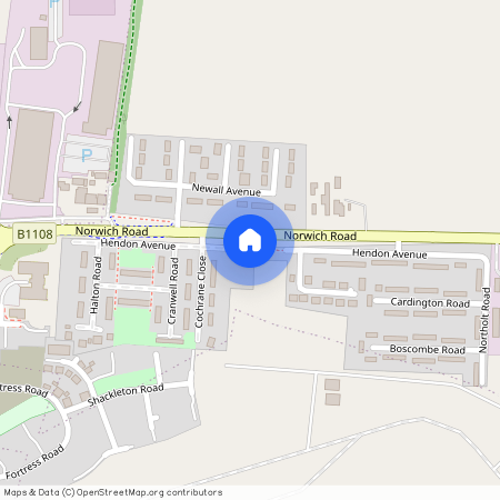 Badger Drive, Watton, IP25