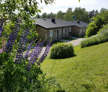 Hjortronstigen, Röshult - Foto 1