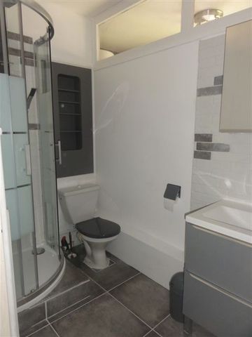Location Appartement 1 pièce 23m² LE CREUSOT 71200 - Photo 5