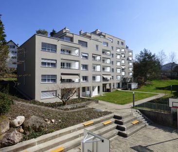 Attika living experience! With a unique view of the beautiful Sihl ... - Foto 5