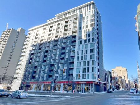 1150 Rue St Denis, Montréal (Ville-Marie), QC H2X - Photo 3