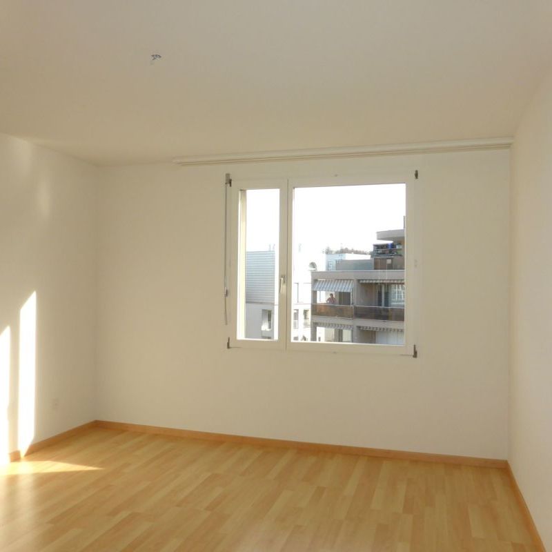 "Freundliche, helle Wohnung" - Photo 1