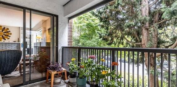 Kitsilano 2 bed 2 bath amazing location!! - Photo 2