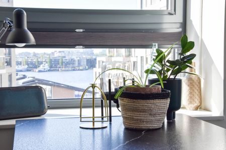 Appartement te huur: Vluchtladderstraat 39 1019 VT Amsterdam - Foto 3