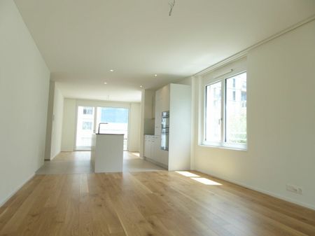4 1/2-Zimmer-Wohnung - Neubauprojekt "Rheincity" - Foto 2
