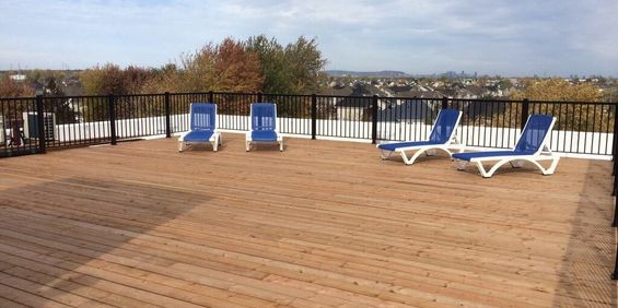 5 ½ St-Constant, Parking, A/C, Juillet - Photo 3