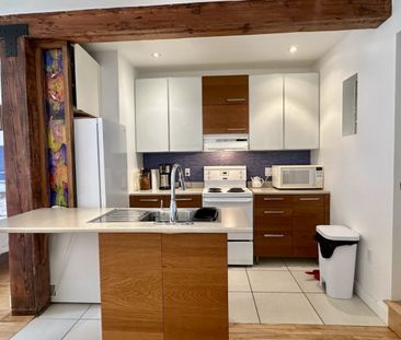 Superbe et grand studio face au Parc Lafontaine, équipé avec tous l... - Photo 3