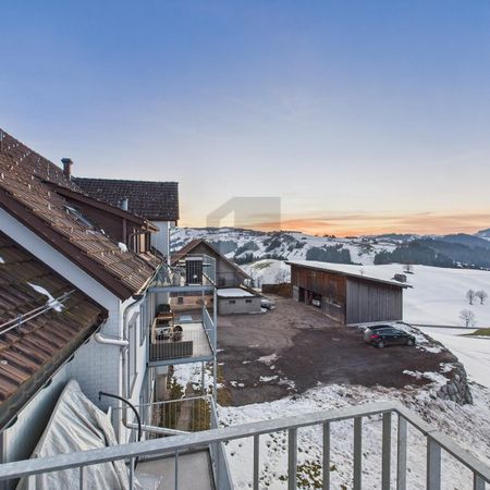 IDYLLIC LOCATION IN THE GREEN - Photo 3