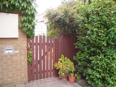 24/5 Beasley Street, Torrens ACT 2607 - Townhouse For Rent | Domain - Photo 2