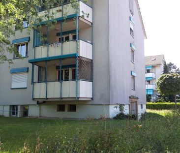 2 Zimmer, 50 m², EG - Photo 4