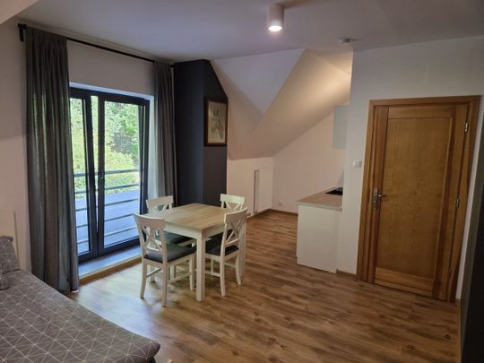 Przytulne mieszkanie 30 m2 na wynajem. - Photo 1