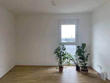 Zwei Balkone: 4-Zimmer-Neubau AB APRIL - Photo 4