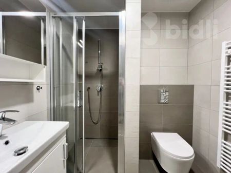 Pronájem bytu 1+kk, 33 m - Fotografie 3