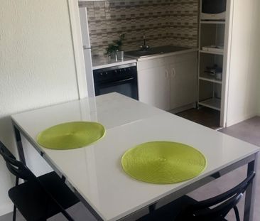 Location Appartement 1 pièce 28m² GRENOBLE 38100 - Photo 3