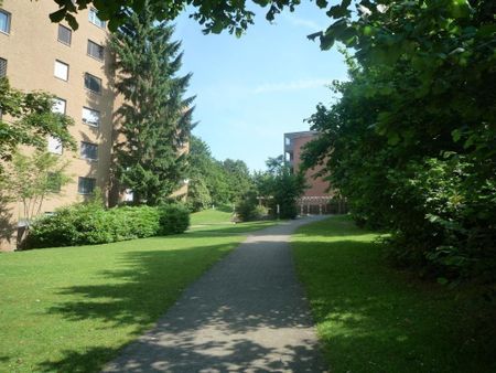 3 ½ Zimmer-Wohnung in Glattbrugg mieten - Photo 5