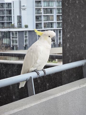 St Kilda Road - Photo 4