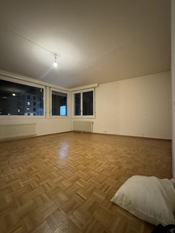 Appartement 3 pièces lumineux avec vue lac aux Eaux-Vives - Photo 2