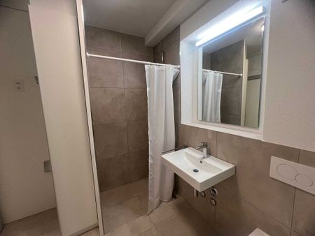 Modernes 2.5 Zimmer Studio in Stein AG mit Erstklassiger Lage - Photo 2