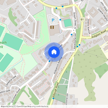 96 Stream Street, Downpatrick, BT30 6DF