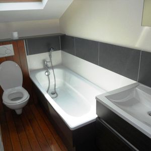 Location Appartement 1 pièce 24m² NANCY 54000 - Photo 2