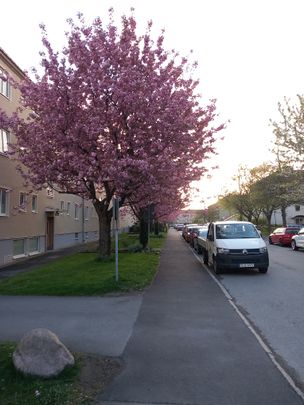 Inägogatan, Göteborg - Photo 1