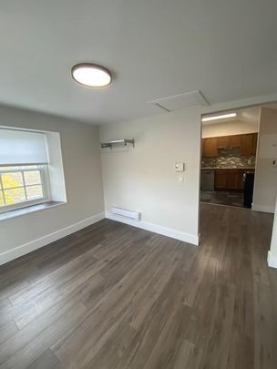 286 &amp; 288 Barrie Street - Photo 1