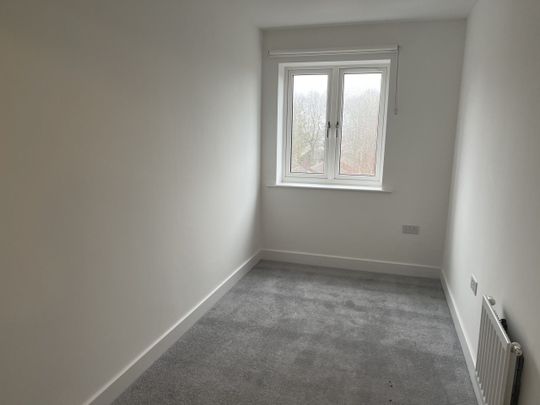 The Starley - Photo 1