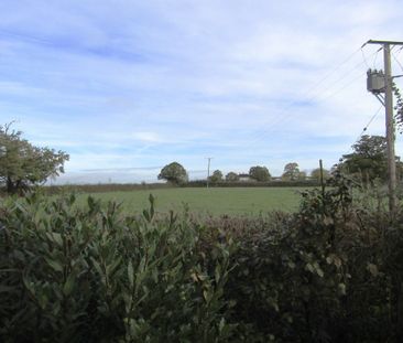 3 bed Bungalow - To Let - Photo 2
