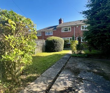 Lambe Avenue - Photo 4