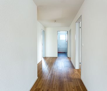 MODERNE Erdgeschosswohnung - Foto 3