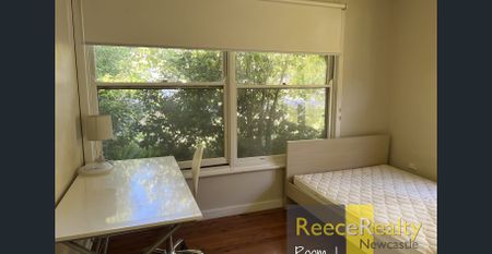 Brick Student House - Photo 4